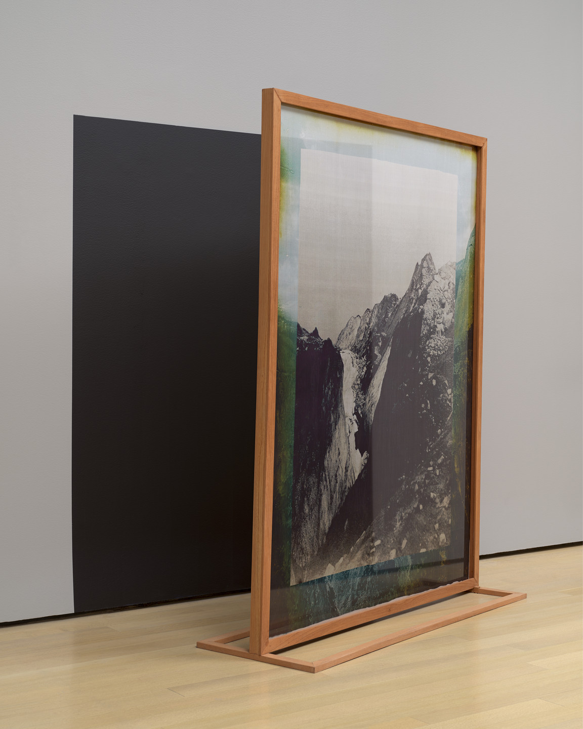 Elena Damiani. Fading Field No. 1. 2012