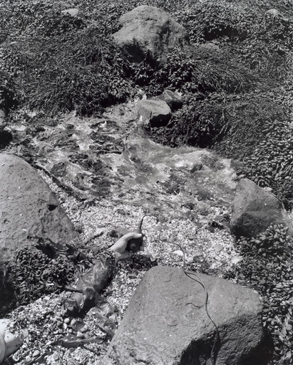 Jenny Calivas. Self Portrait While Buried #10