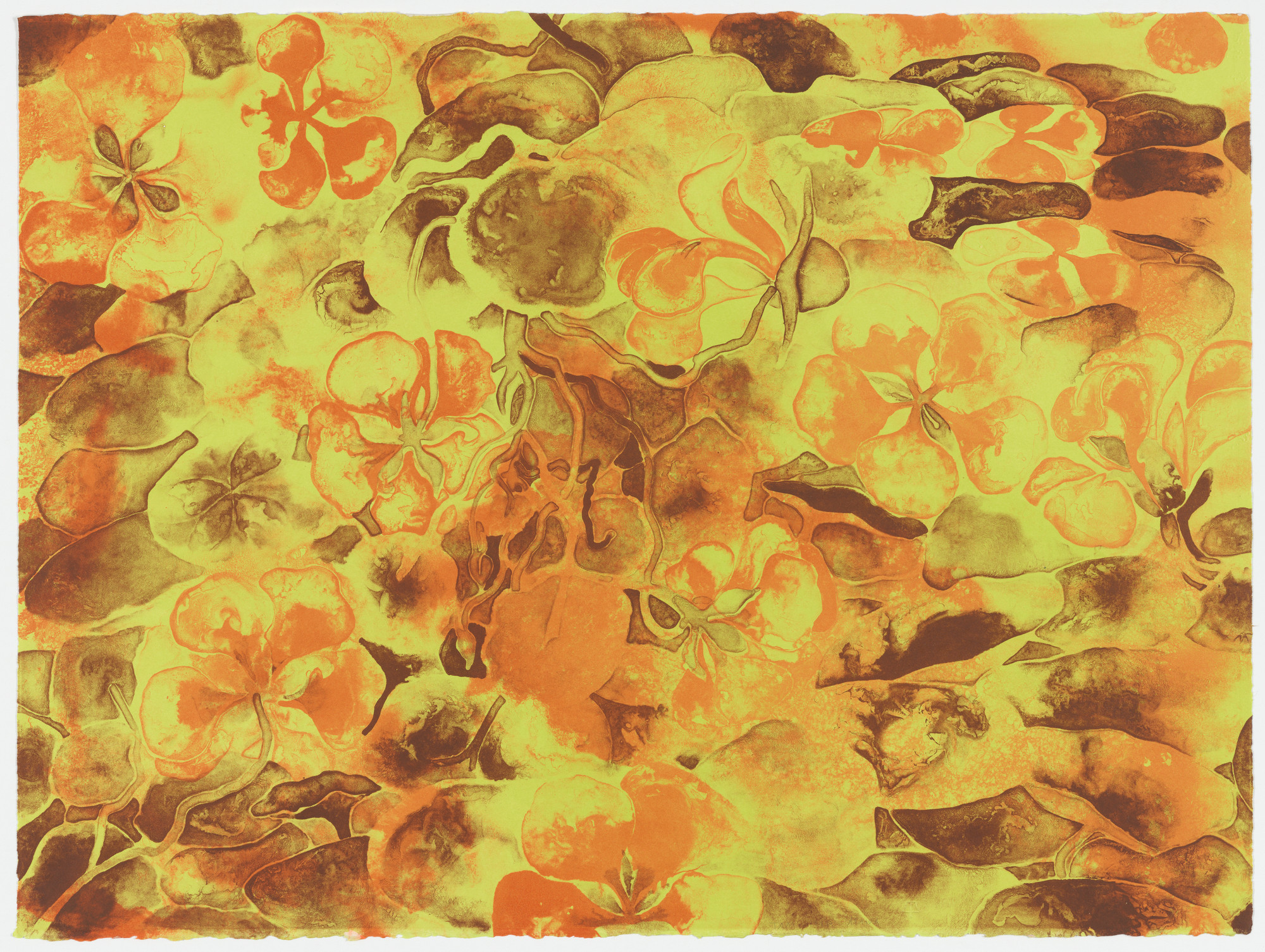 Ruth Asawa. Nasturtiums (TAM.1557)