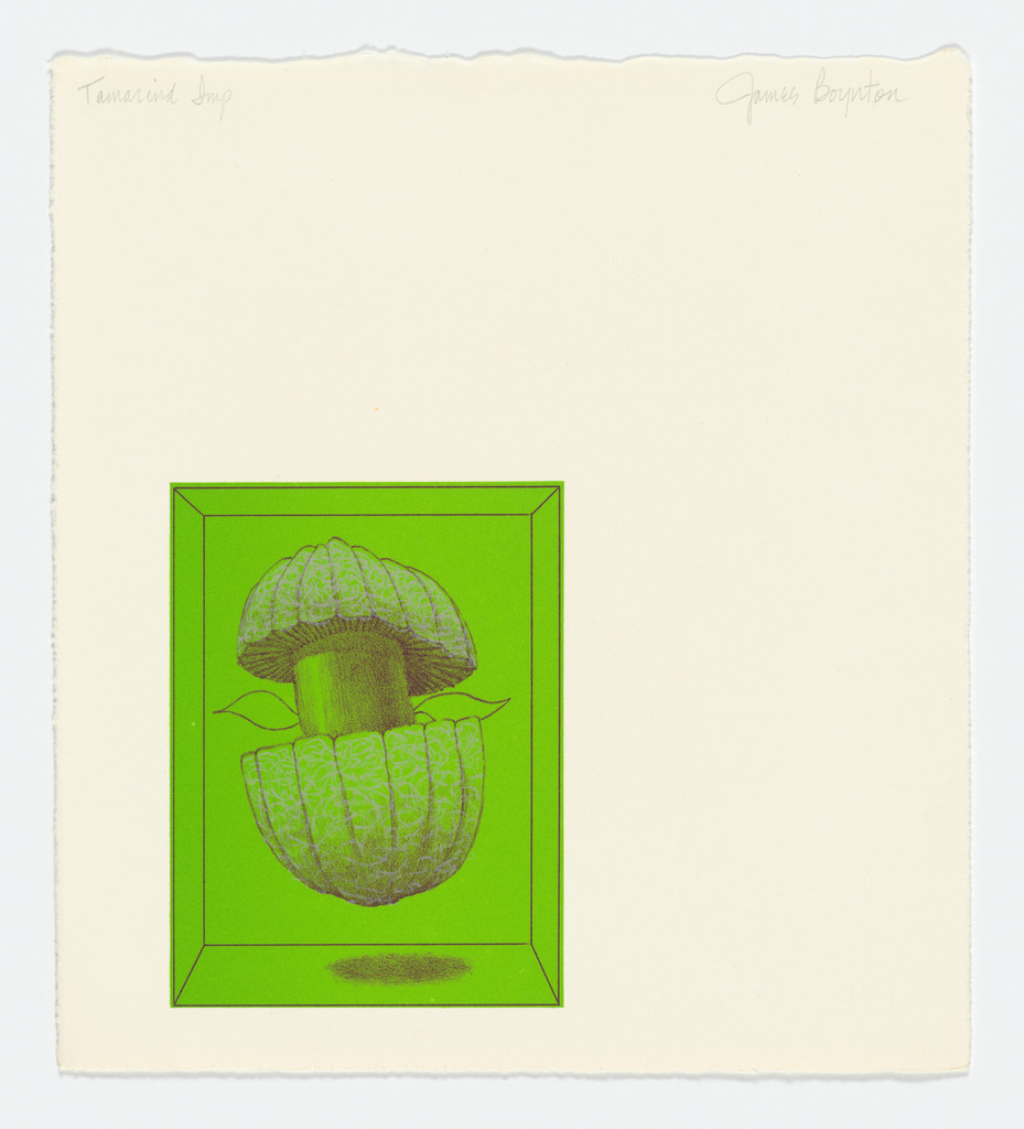 Coupled Mushrooms from the series Pandorasville Revisited, James Boynton, 1967