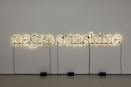 Glenn Ligon. Warm Broad Glow. 2005