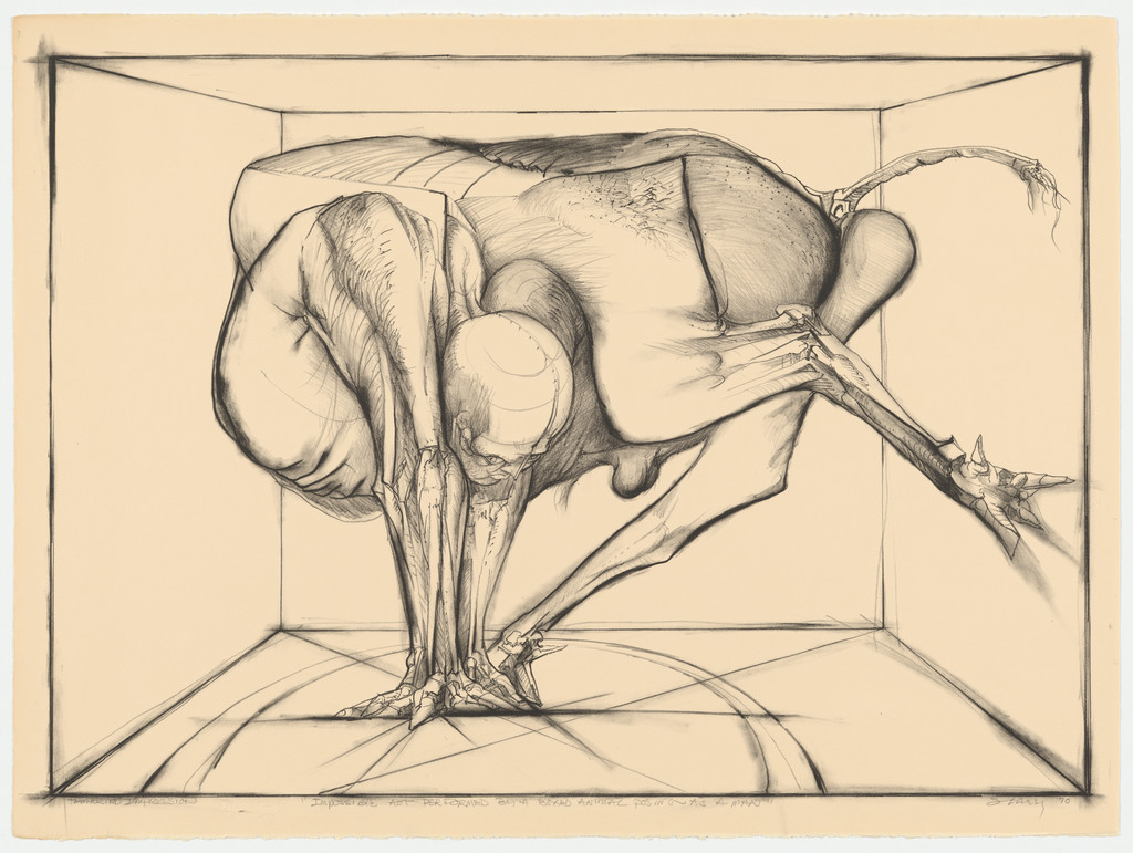 Impossible Act Performed by a Boxed Animal Posing as a Man
