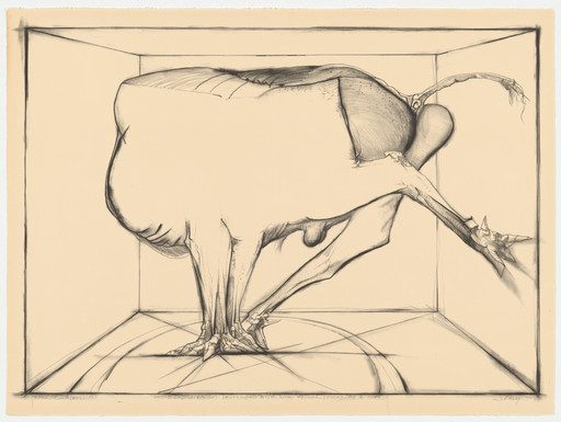 Second Impossible Act Performed by a Boxed Animal Posing as a Man