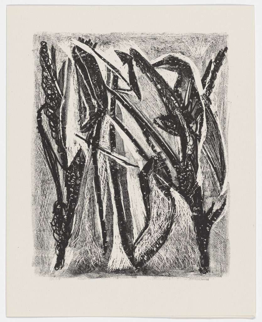 Plate (page 51) from Description of a Struggle (Description d'un combat)