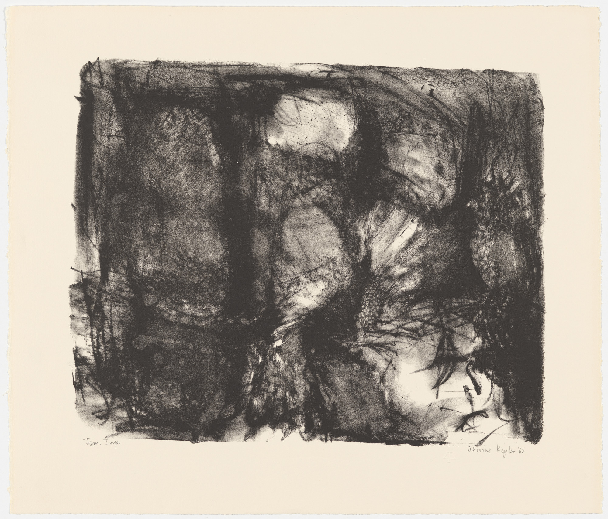 Jerome Kaplan. Birds