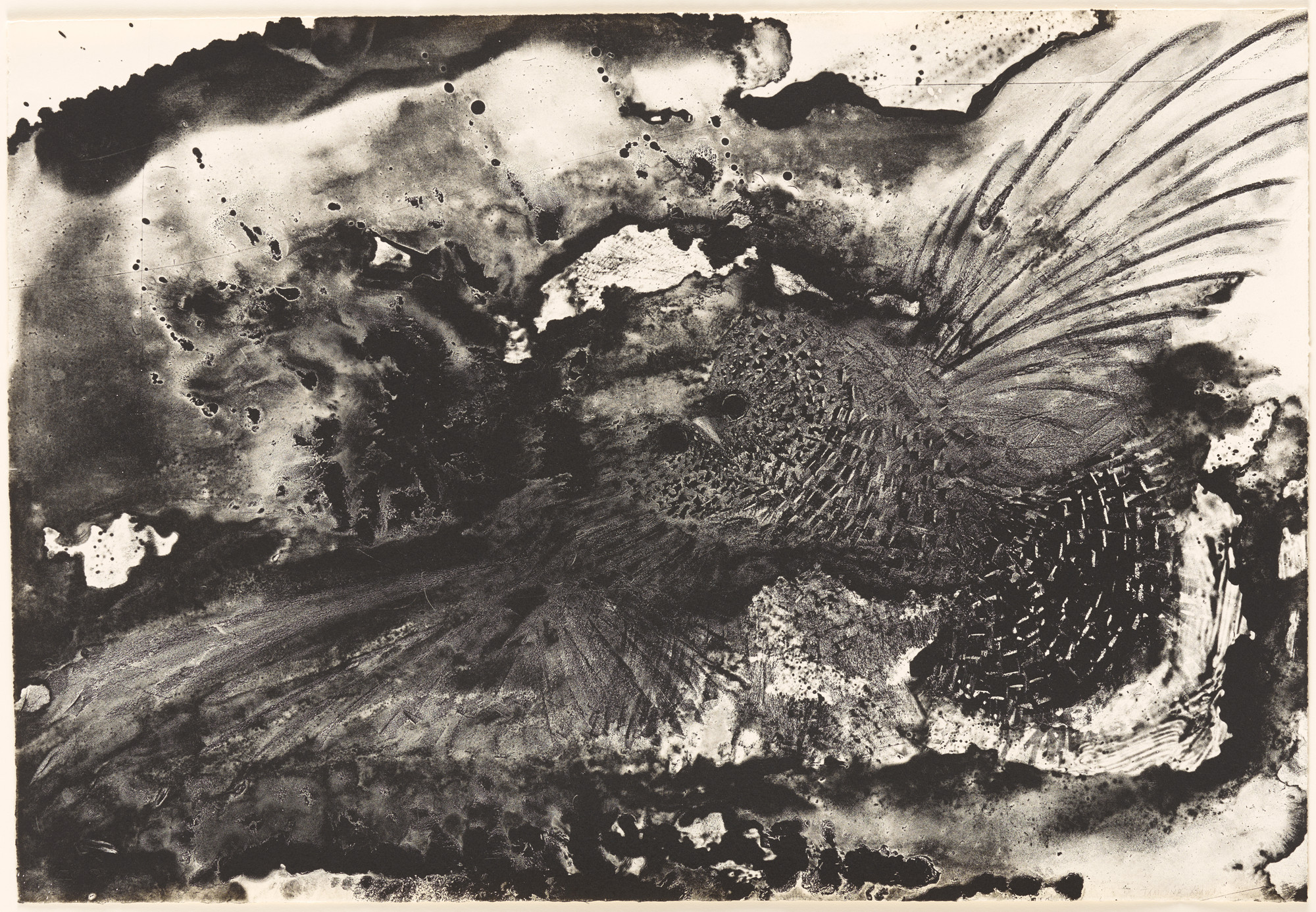Ruth Asawa. Owl (TAM.1486)