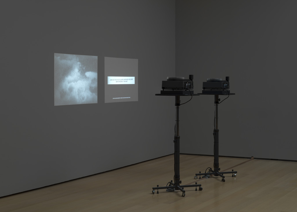 Secrets of the Amazon