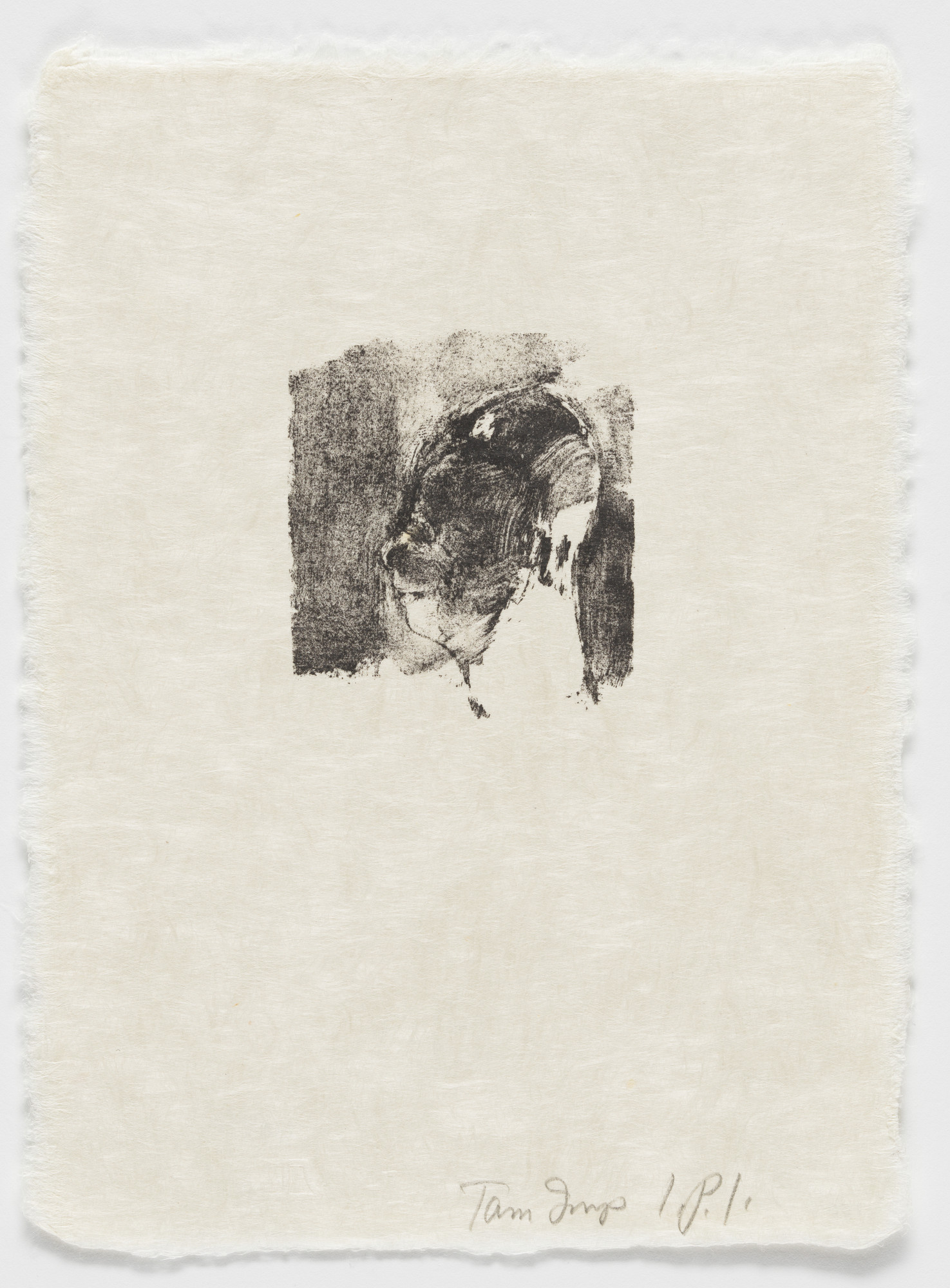 John Paul Jones. Untitled