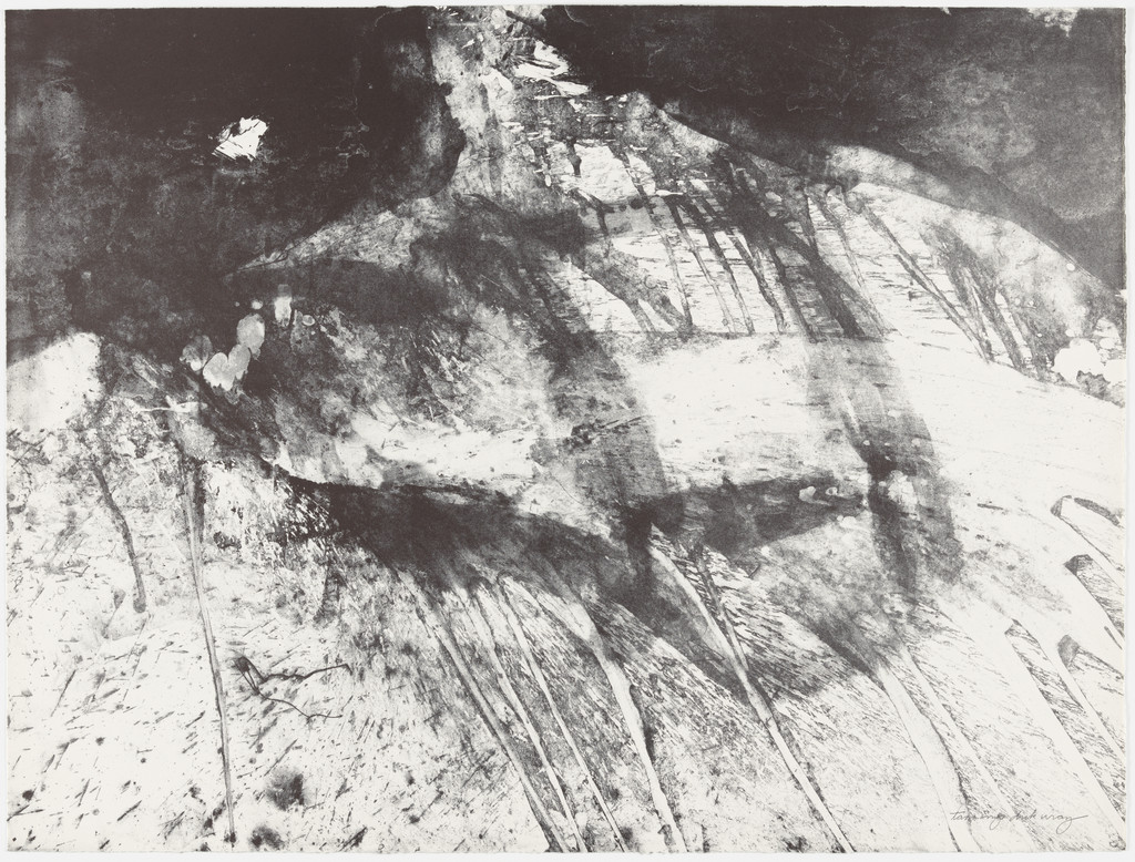 Без названия, Dick Wray, 1964