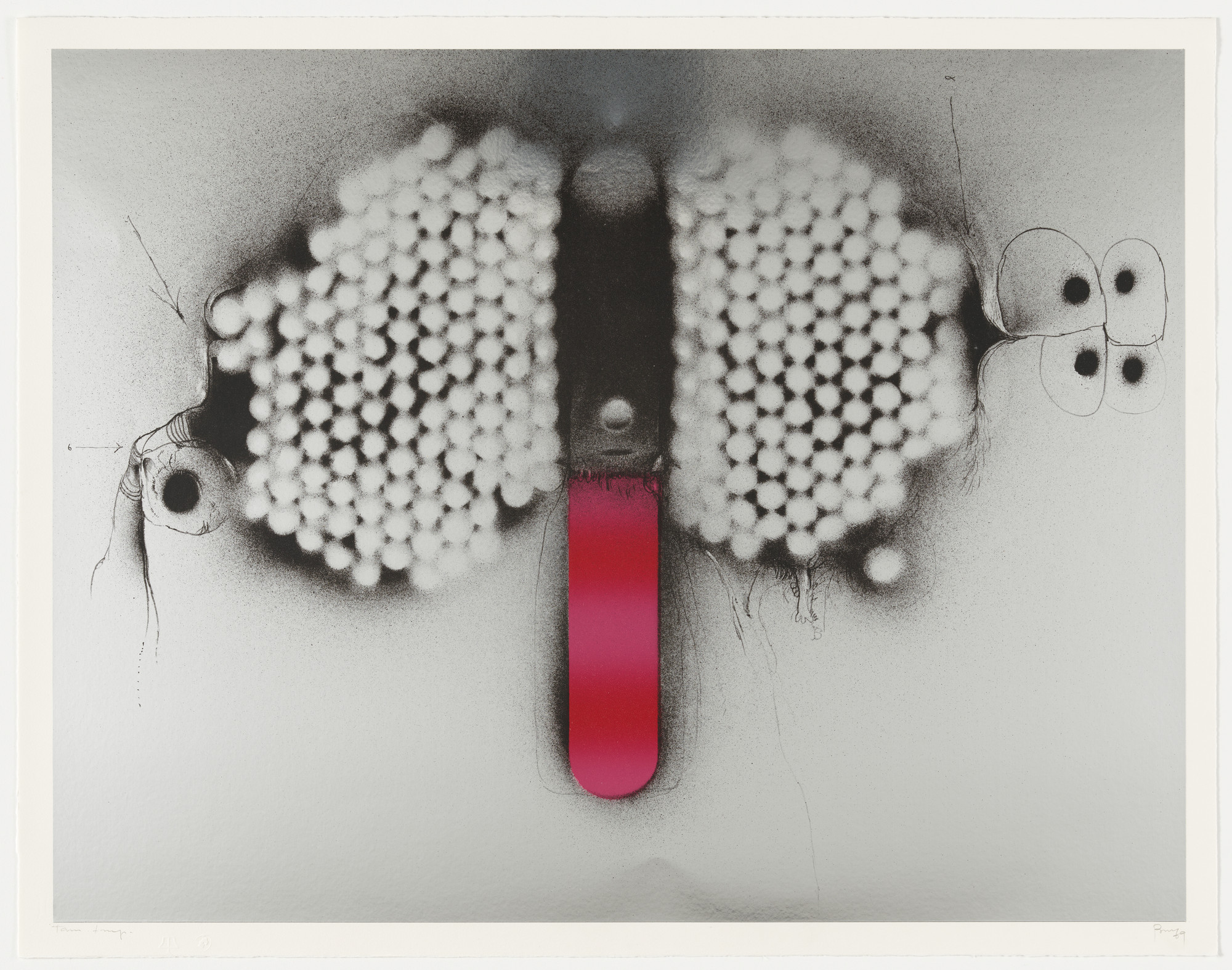 Salvador Bru. Tongue of the Universal Fly