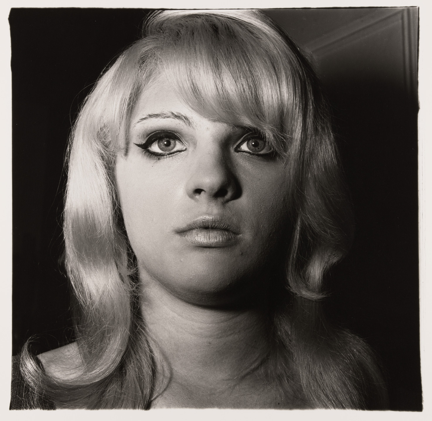 diane arbus 写真作品集 Diane Arbus 写真集 作品集 洋書 レア 希少 ダイアン アーバスの