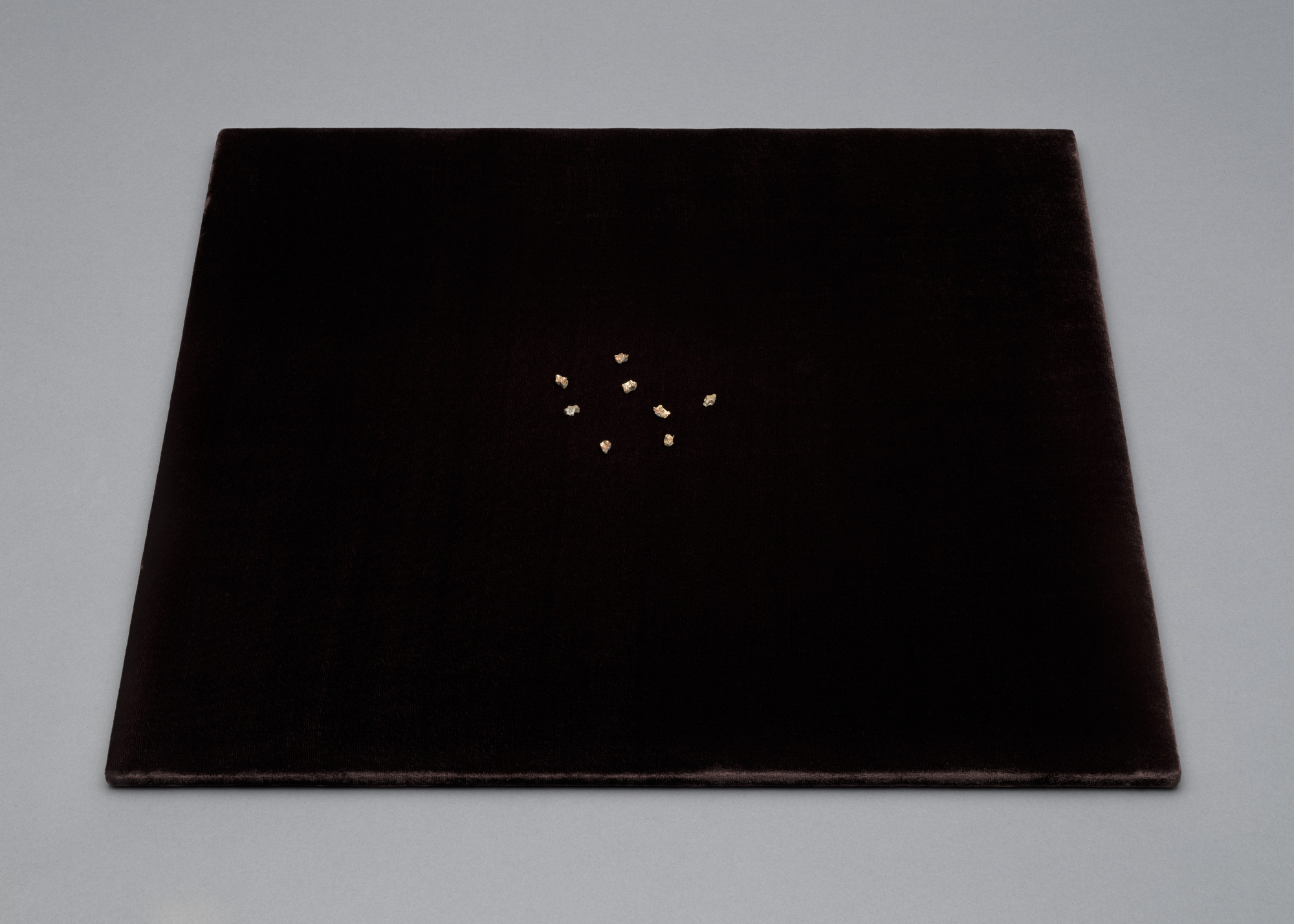 Regina José Galindo. Looting. 2010