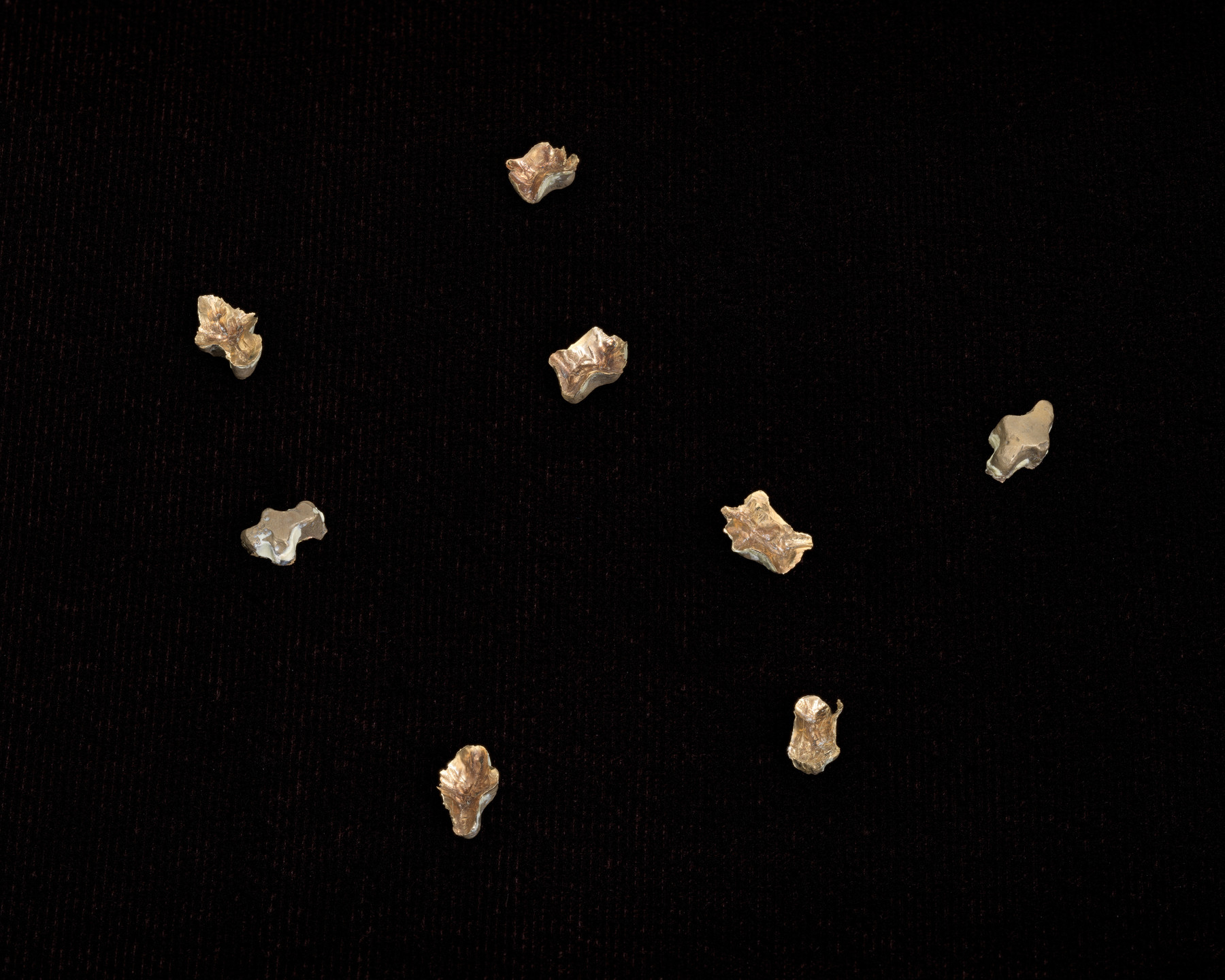 Regina José Galindo. Looting. 2010