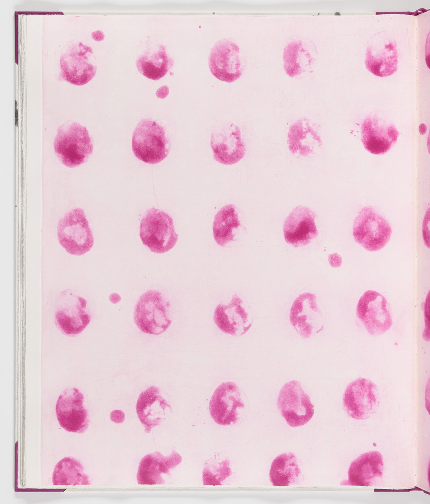 Double page plate (folios 10 verso and 11) from Salt Notes