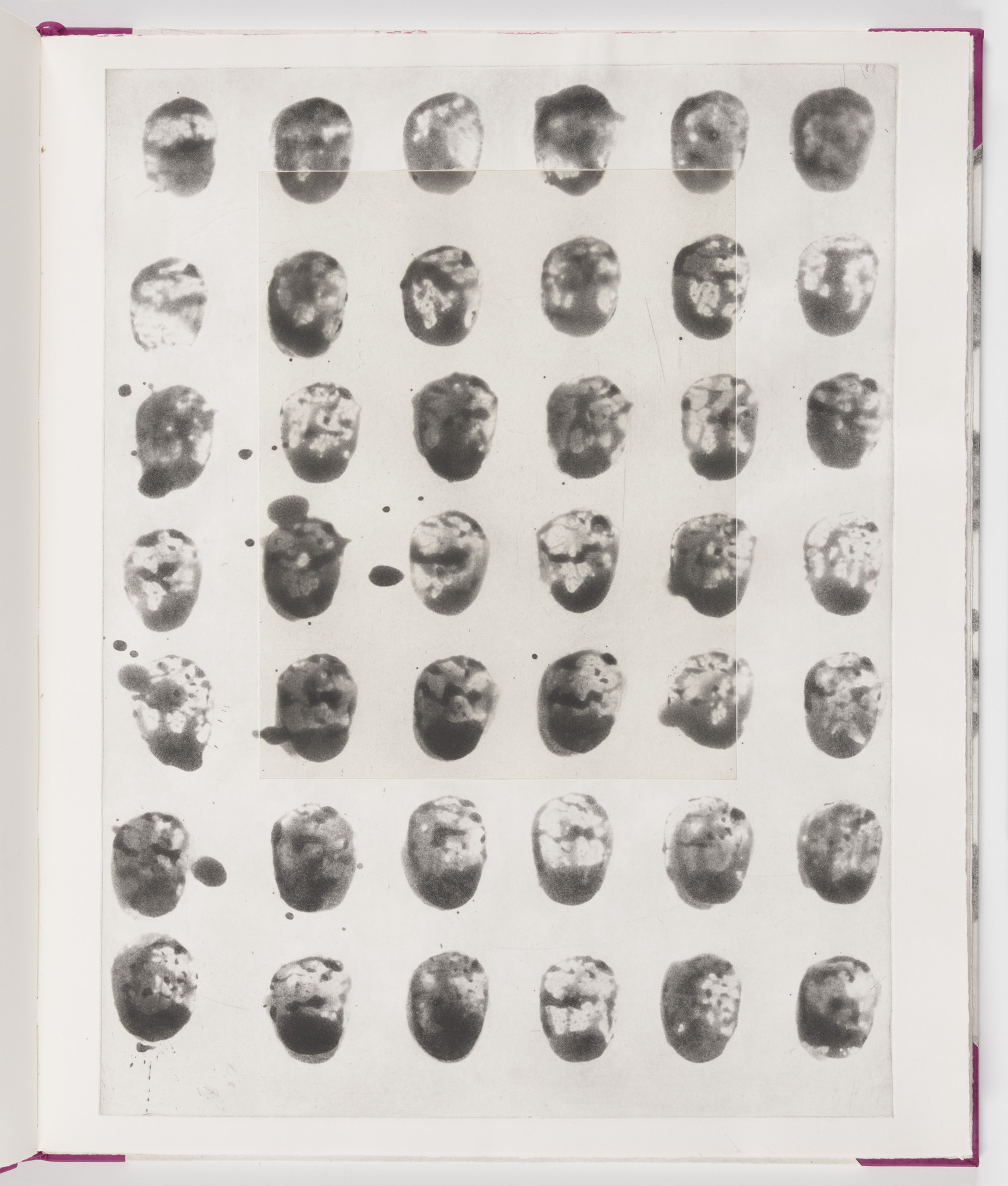 James Brown. Plate (folio 13) from Salt Notes