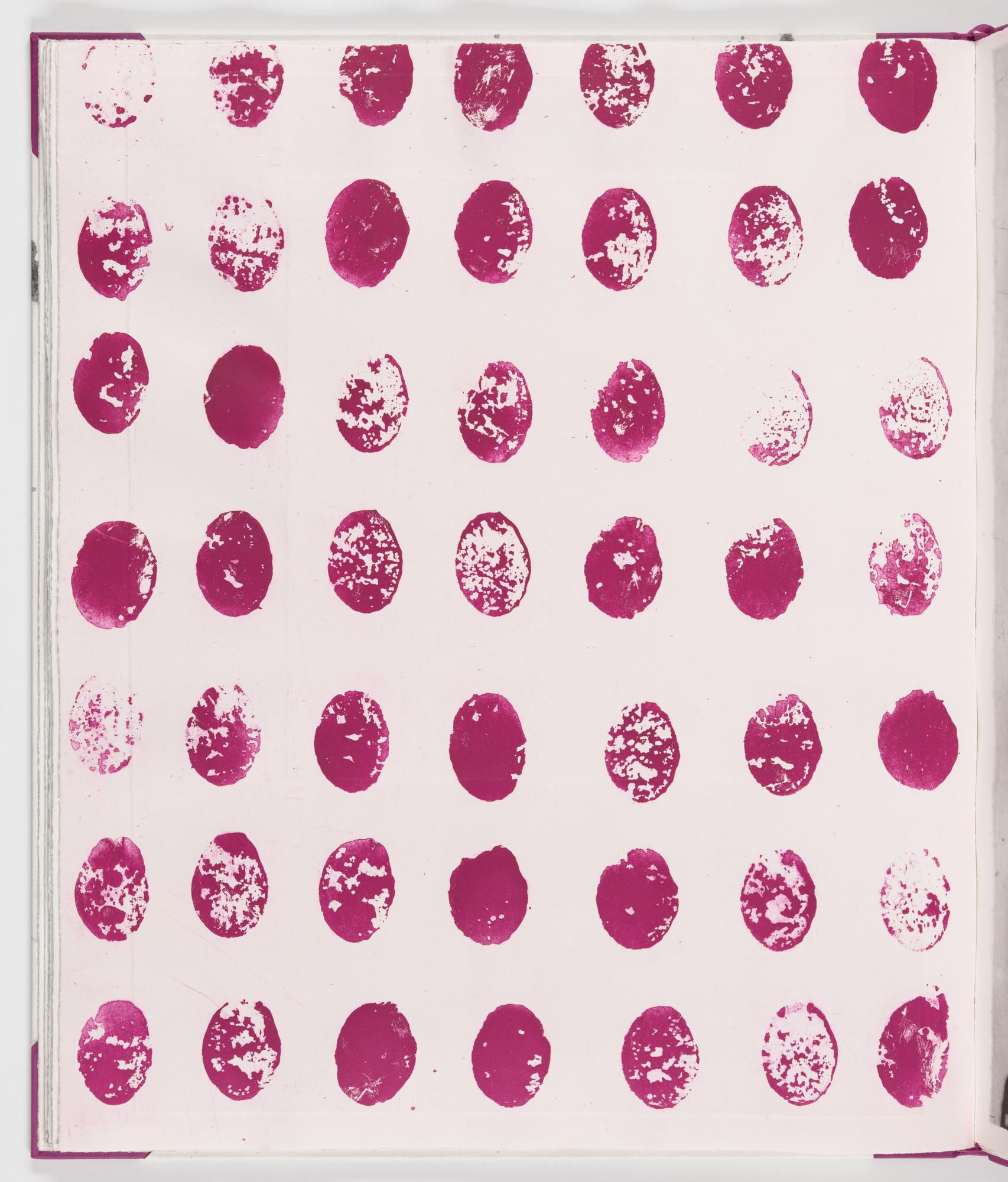 James Brown. Plate (folio 13 verso) from Salt Notes