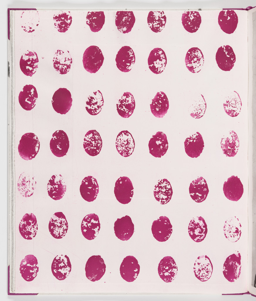 Plate (folio 13 verso) from Salt Notes