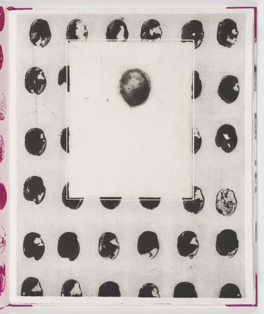 Plate (folio 14) from Salt Notes