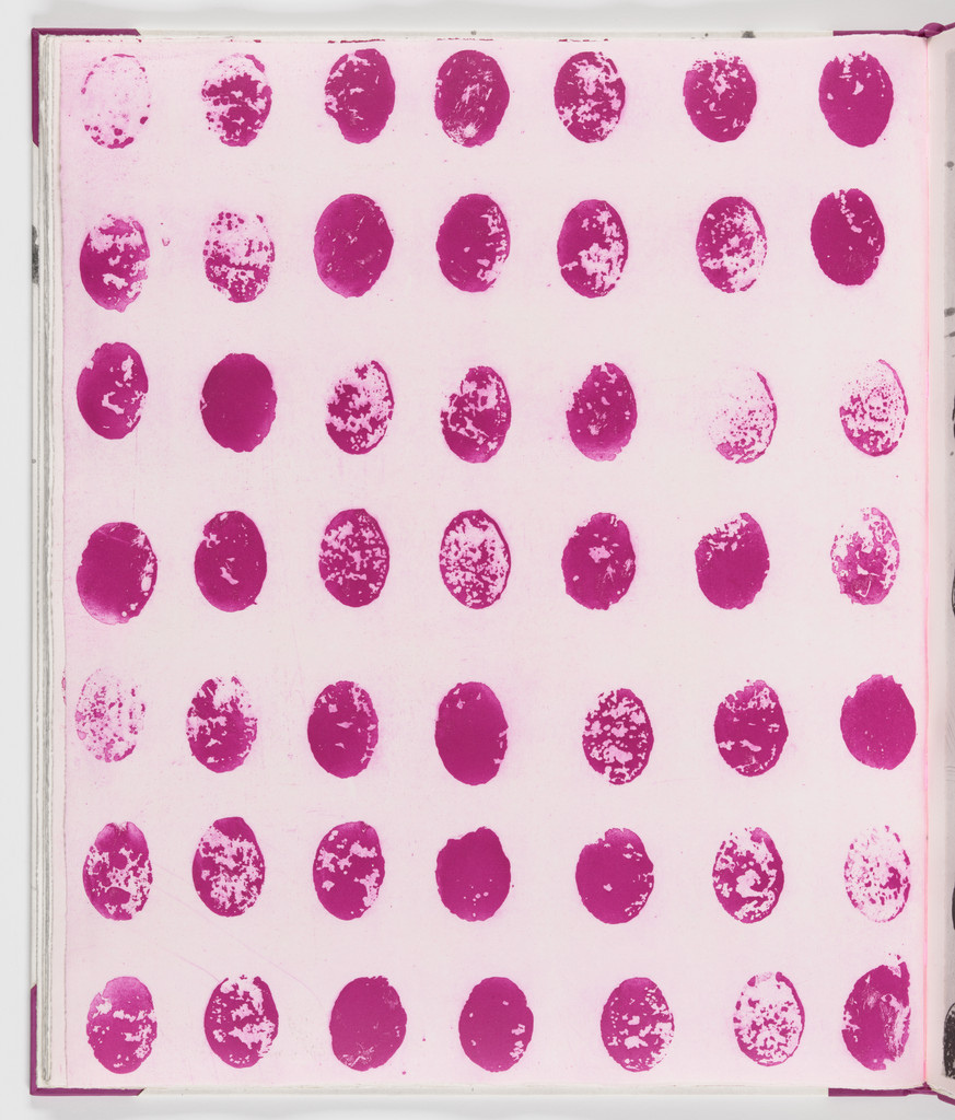 Plate (folio 14 verso) from Salt Notes