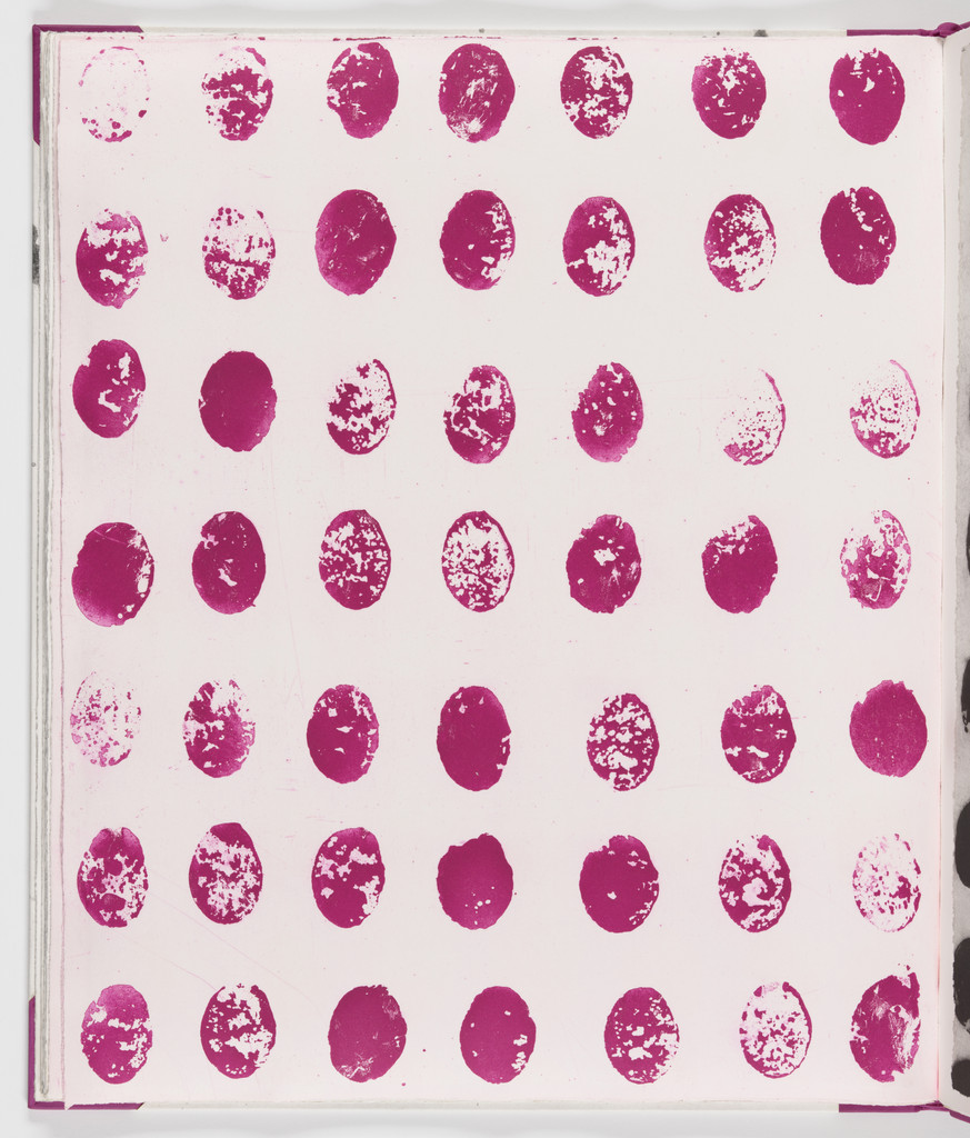 Plate (folio 15 verso) from Salt Notes