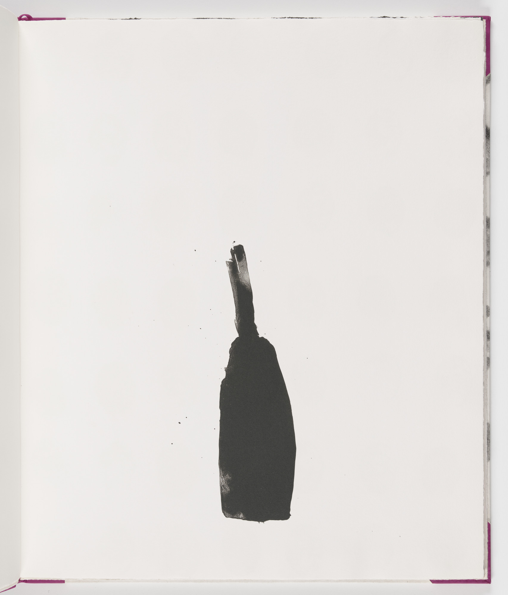 James Brown. Plate (folio 5) from Salt Notes