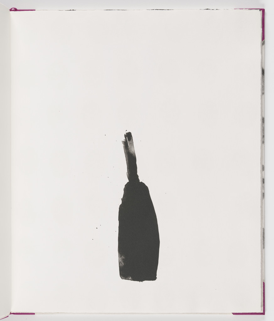 Plate (folio 5) from Salt Notes