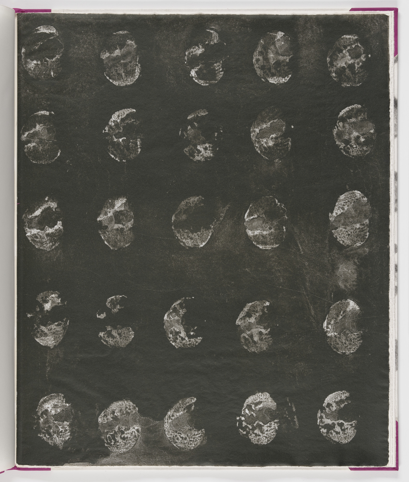James Brown. Plate (folio 17) from Salt Notes