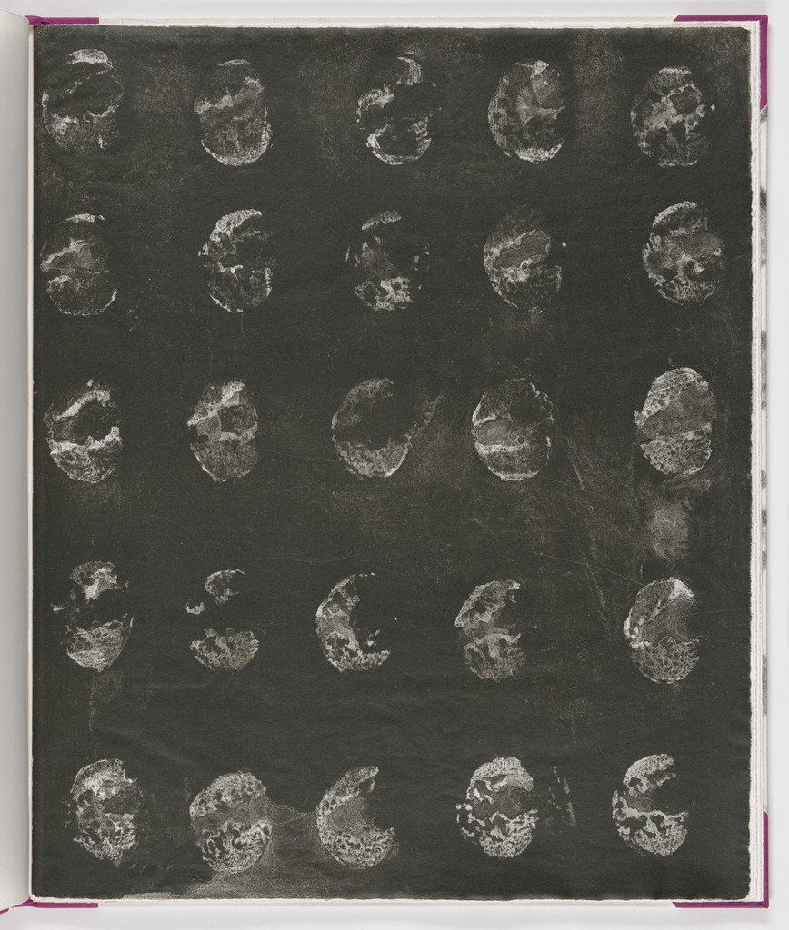 Plate (folio 17) from Salt Notes