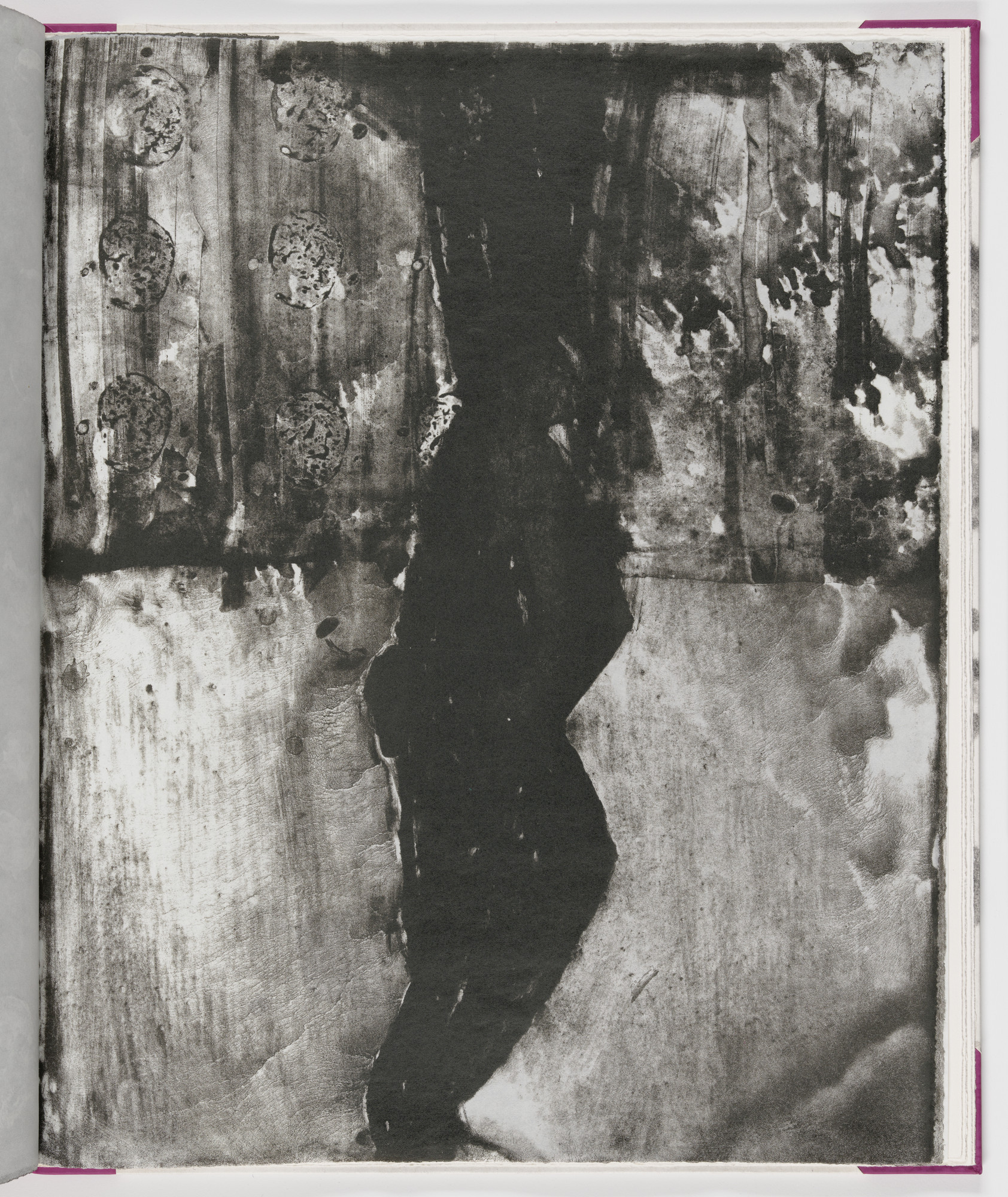 James Brown. Plate (folio 18) from Salt Notes