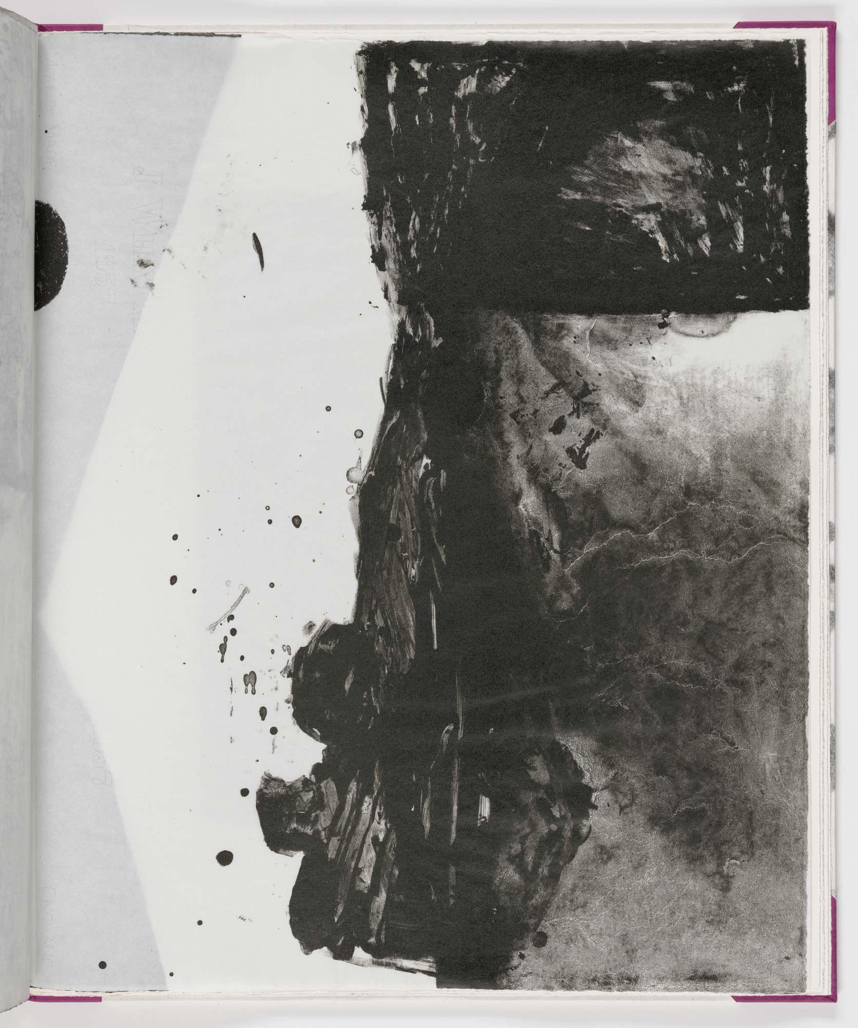 James Brown. Plate (folio 19) from Salt Notes