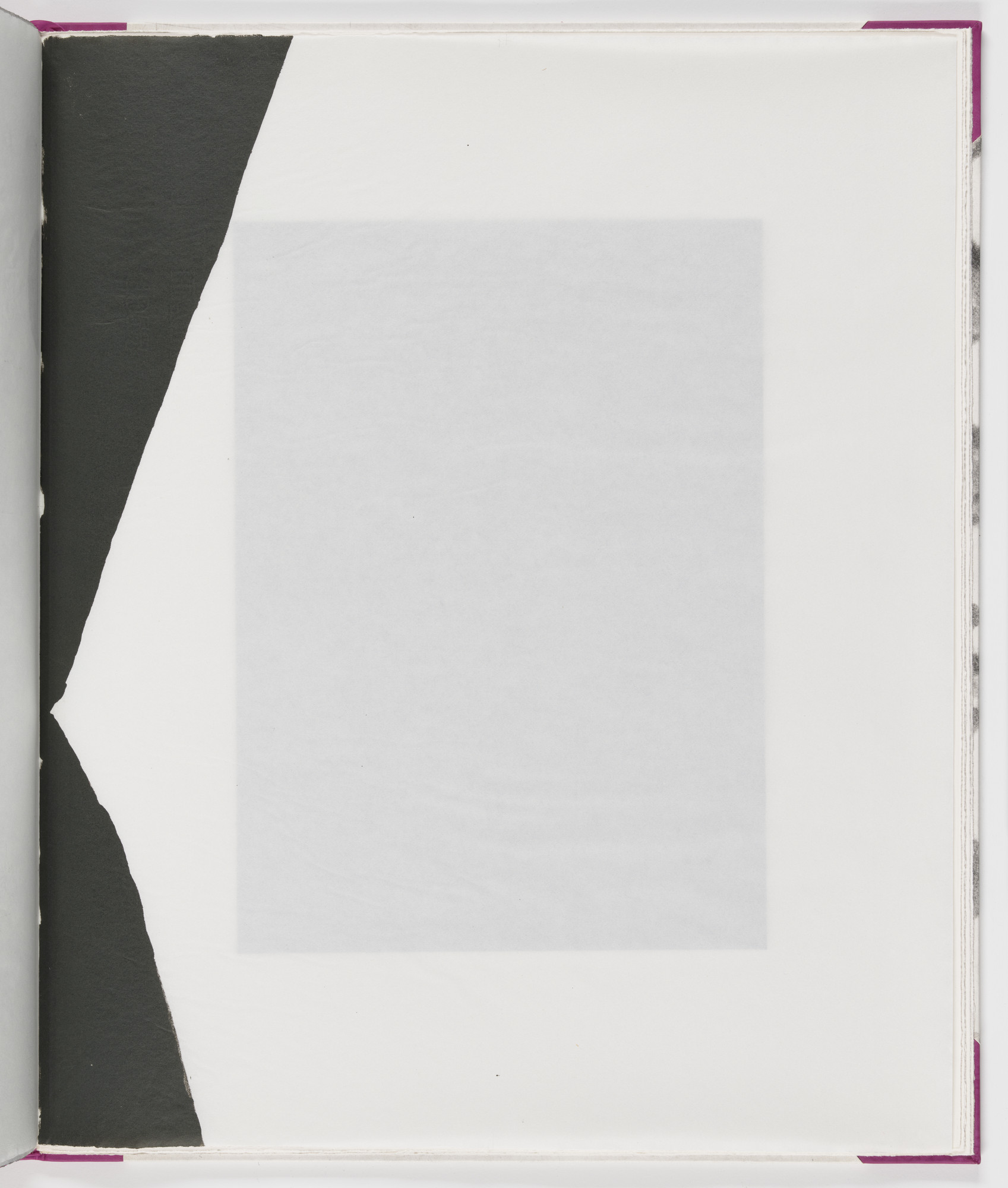 James Brown. Plate (folio 20) from Salt Notes