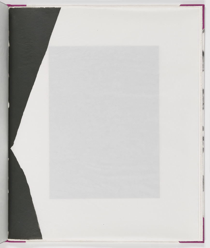 Plate (folio 20) from Salt Notes