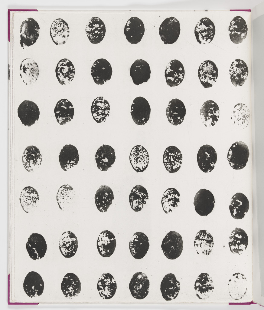 Plate (folio 5 verso) from Salt Notes