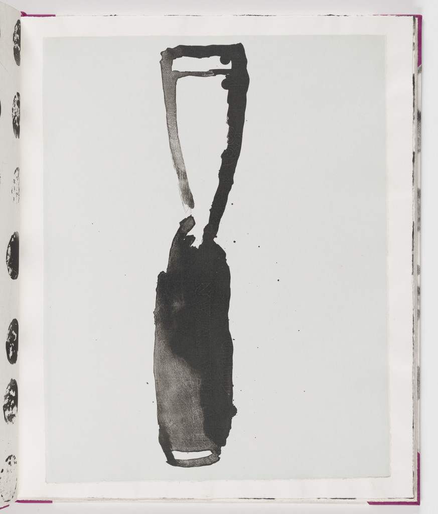 Plate (folio 6) from Salt Notes