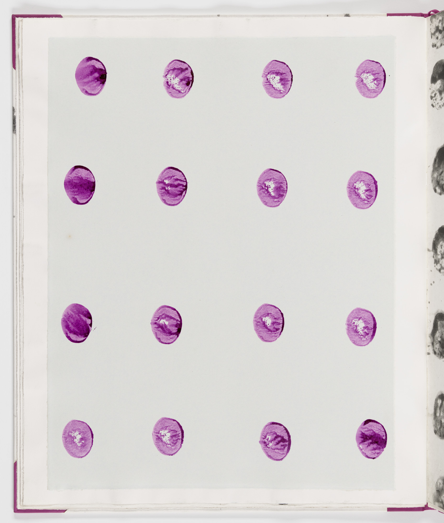 James Brown. Plate (folio 6 verso) from Salt Notes