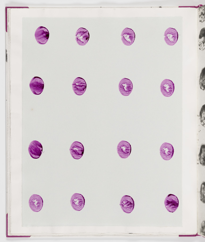 Plate (folio 6 verso) from Salt Notes