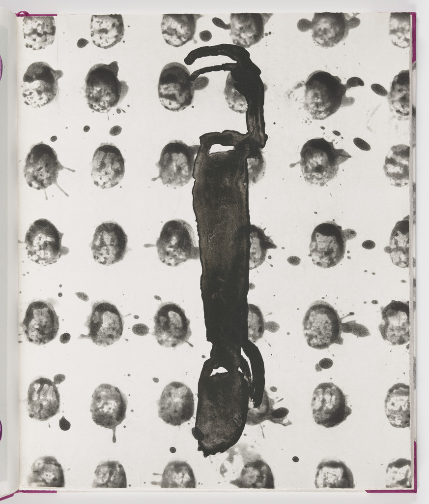 Plate (folio 7) from Salt Notes