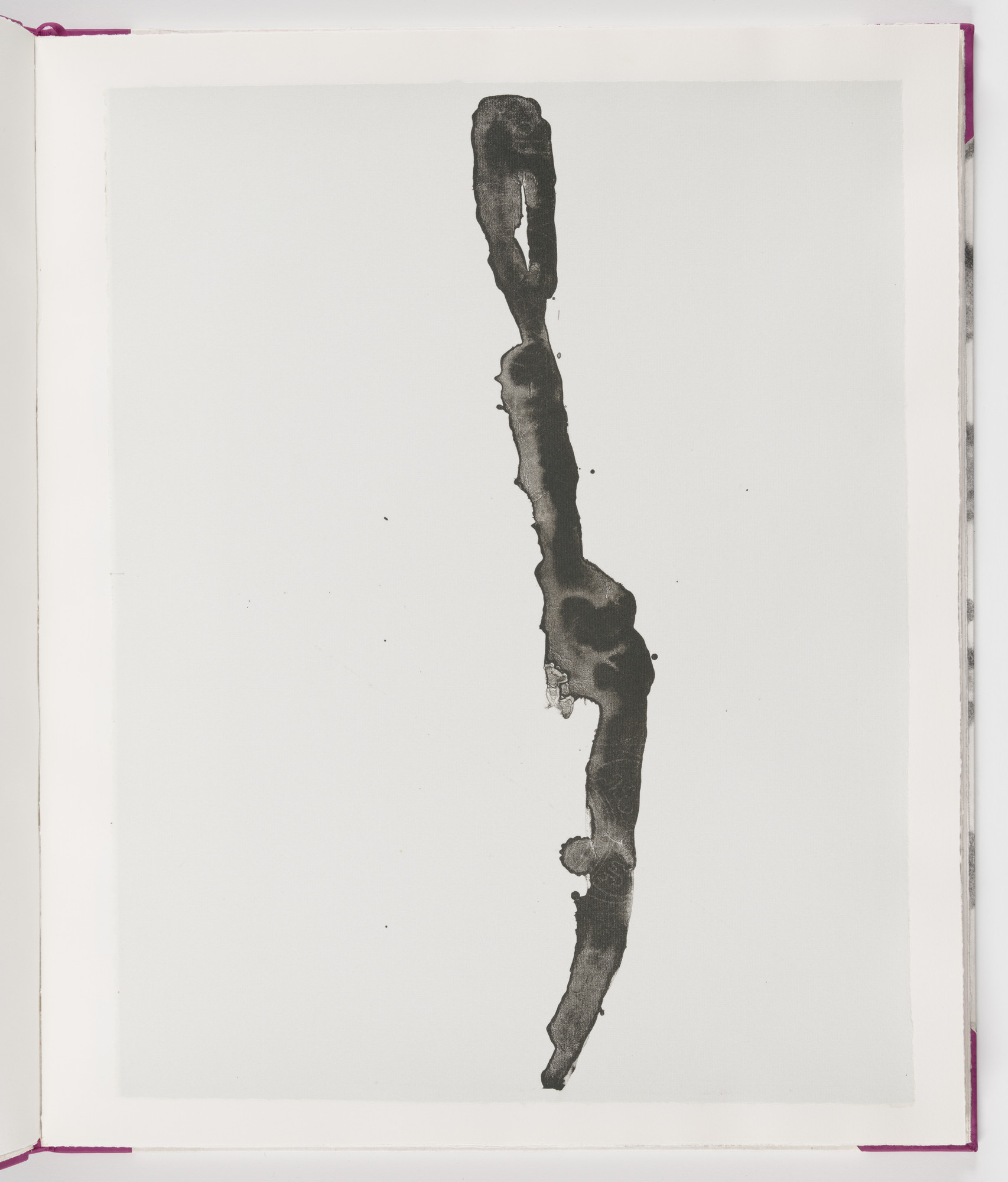 James Brown. Plate (folio 8) from Salt Notes