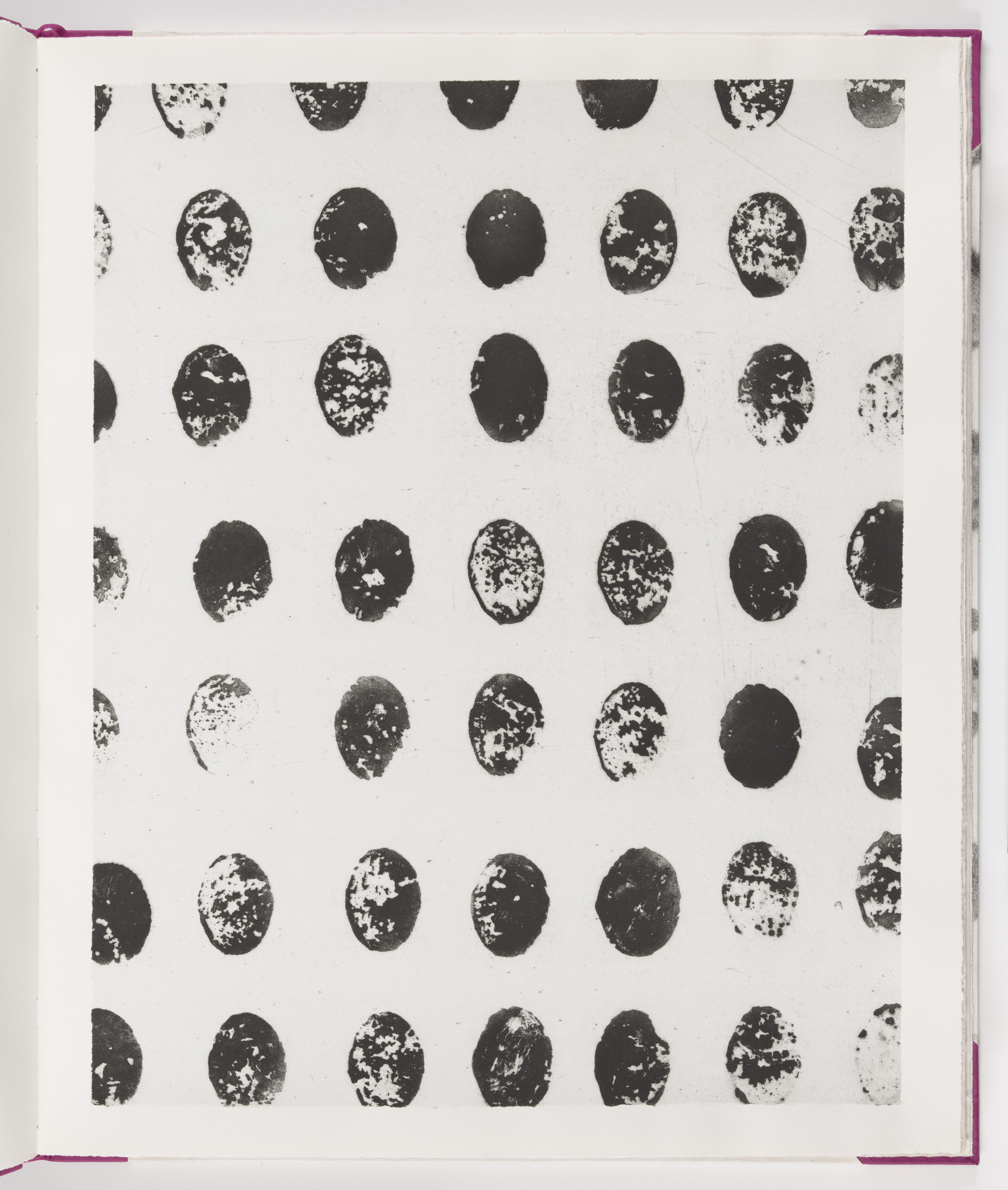 James Brown. Plate (folio 9) from Salt Notes