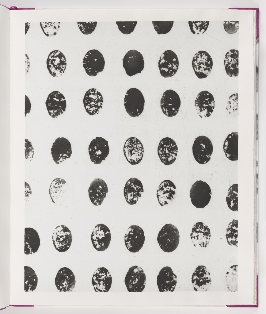 Plate (folio 9) from Salt Notes