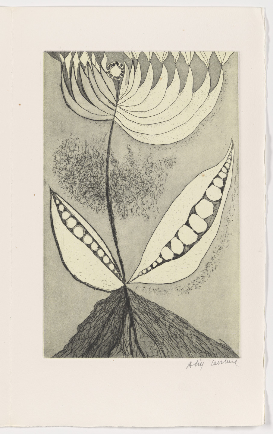 Alik Cavaliere. Plate (page 13) from L&#39;albero poeta. 1966