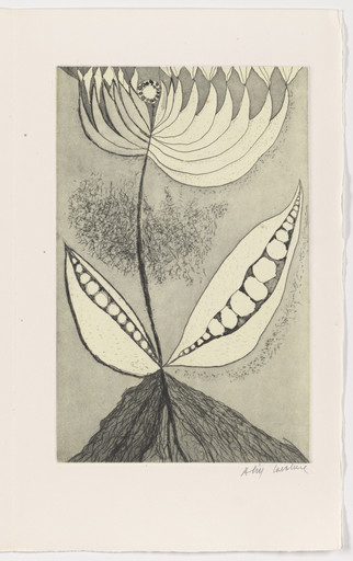 Plate (page 13) from L'albero poeta