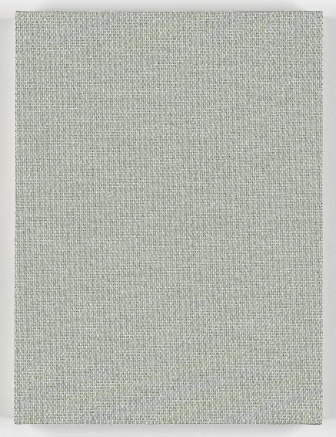 Erica Baum. Fabrications. 2023