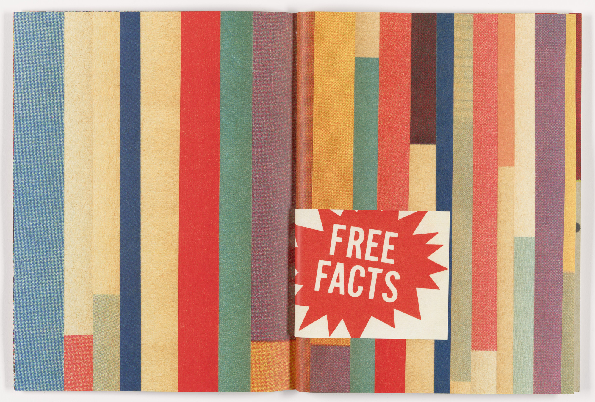 Erica Baum. Fabrications. 2023