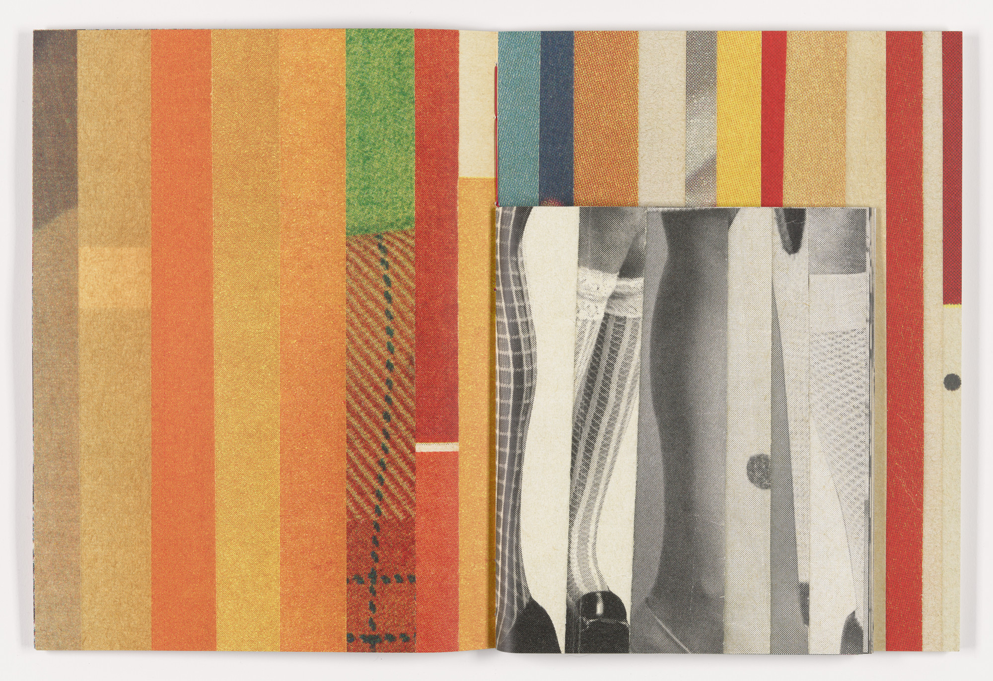 Erica Baum. Fabrications. 2023
