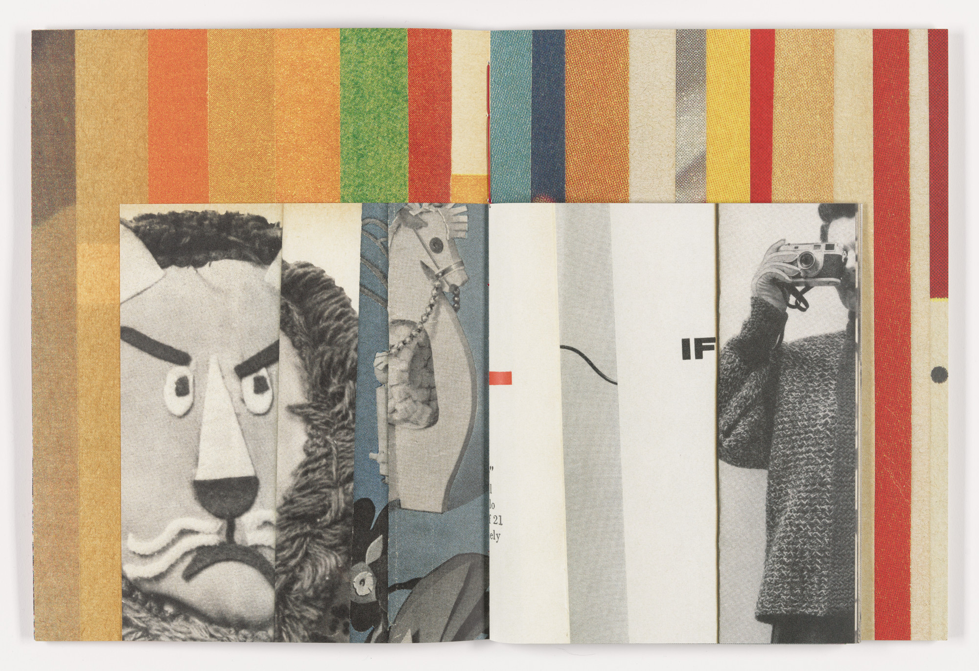 Erica Baum. Fabrications. 2023