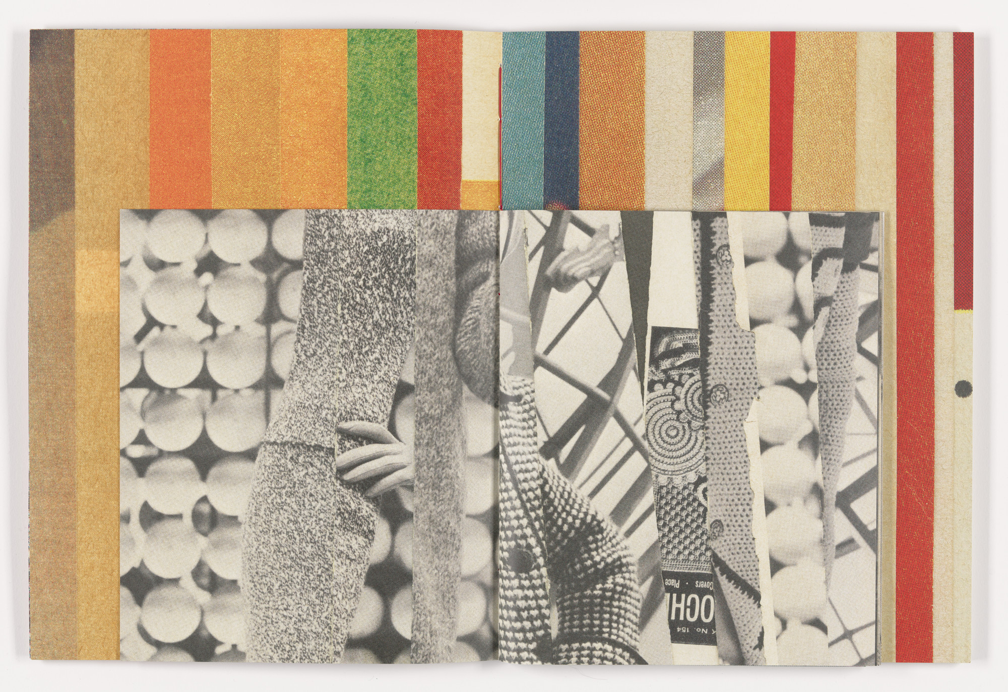 Erica Baum. Fabrications. 2023