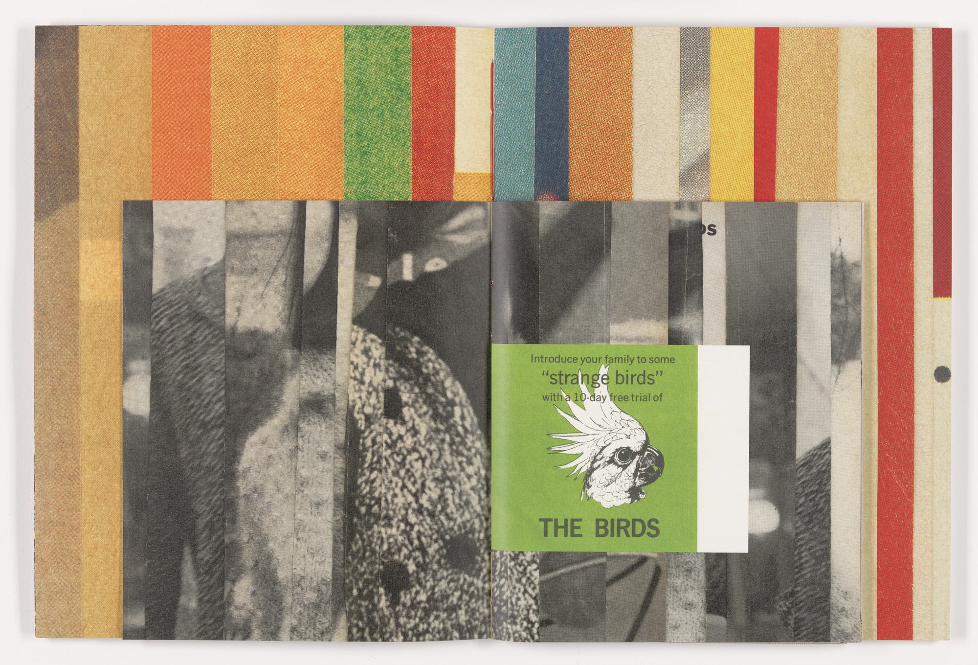 Erica Baum. Fabrications. 2023