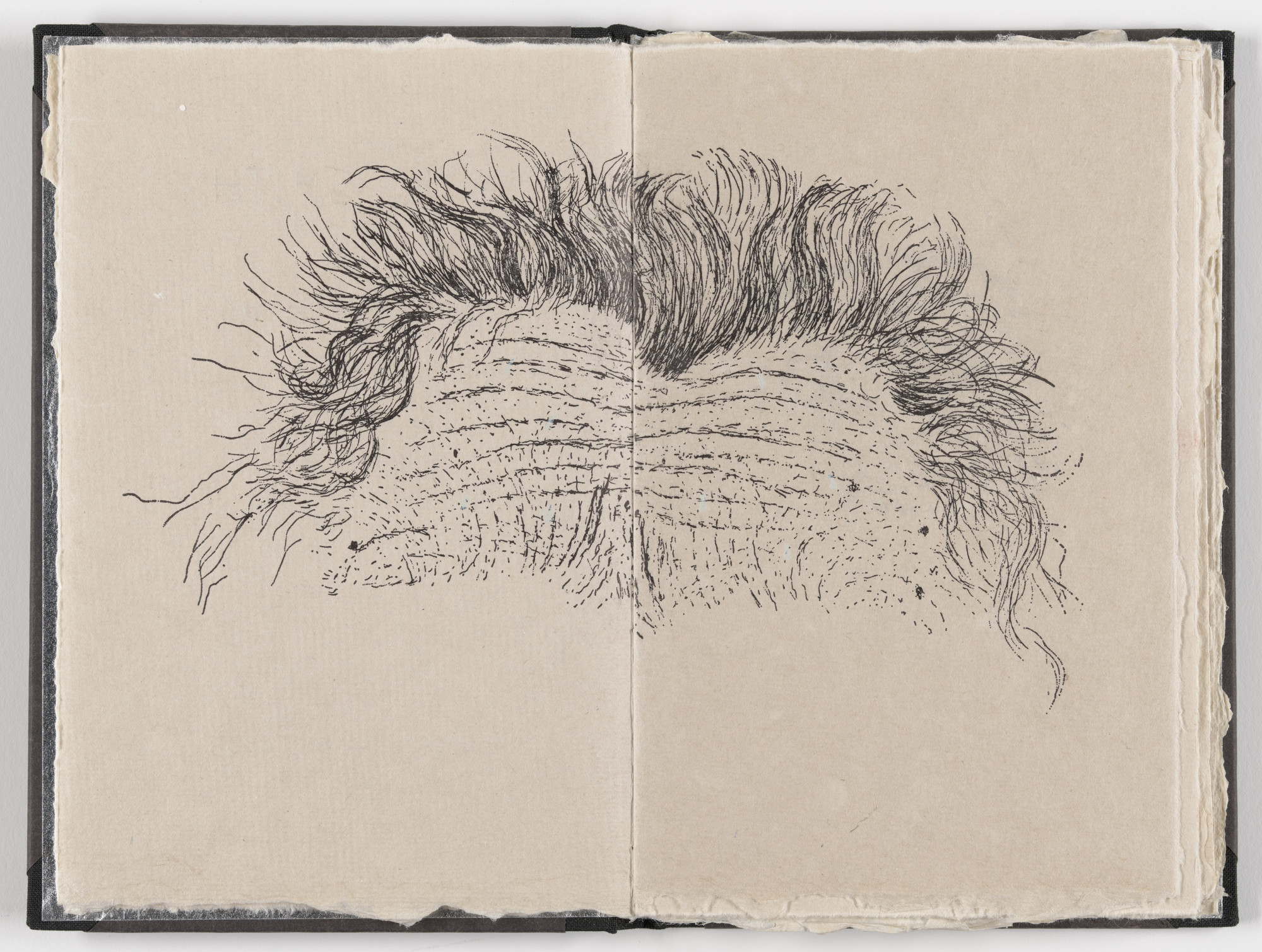 Kiki Smith. Double page plate (folios 2 verso and 3) from Fountainhead