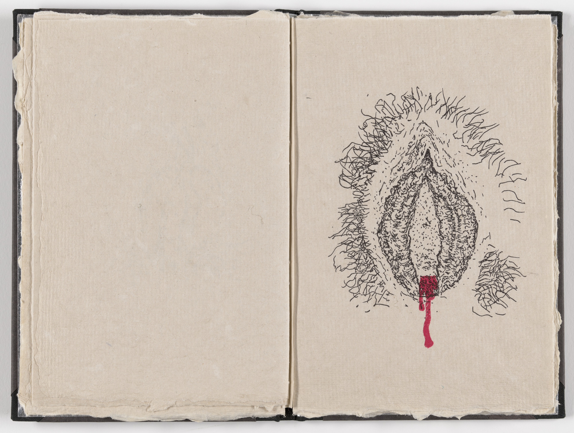 Kiki Smith. Plate (folio 12) from Fountainhead